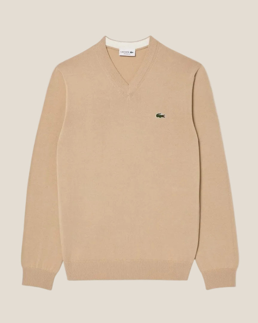 Monochrome Cotton V-neck Sweater